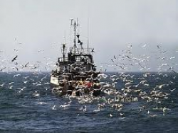Acordo para frota de pesca artesanal Madeira-Canárias