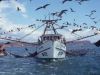 Portugal negoceia quotas de pesca com Espanha.