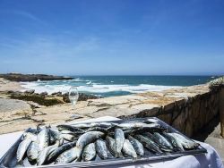 O salto em frente da cozinha Portuguesa.